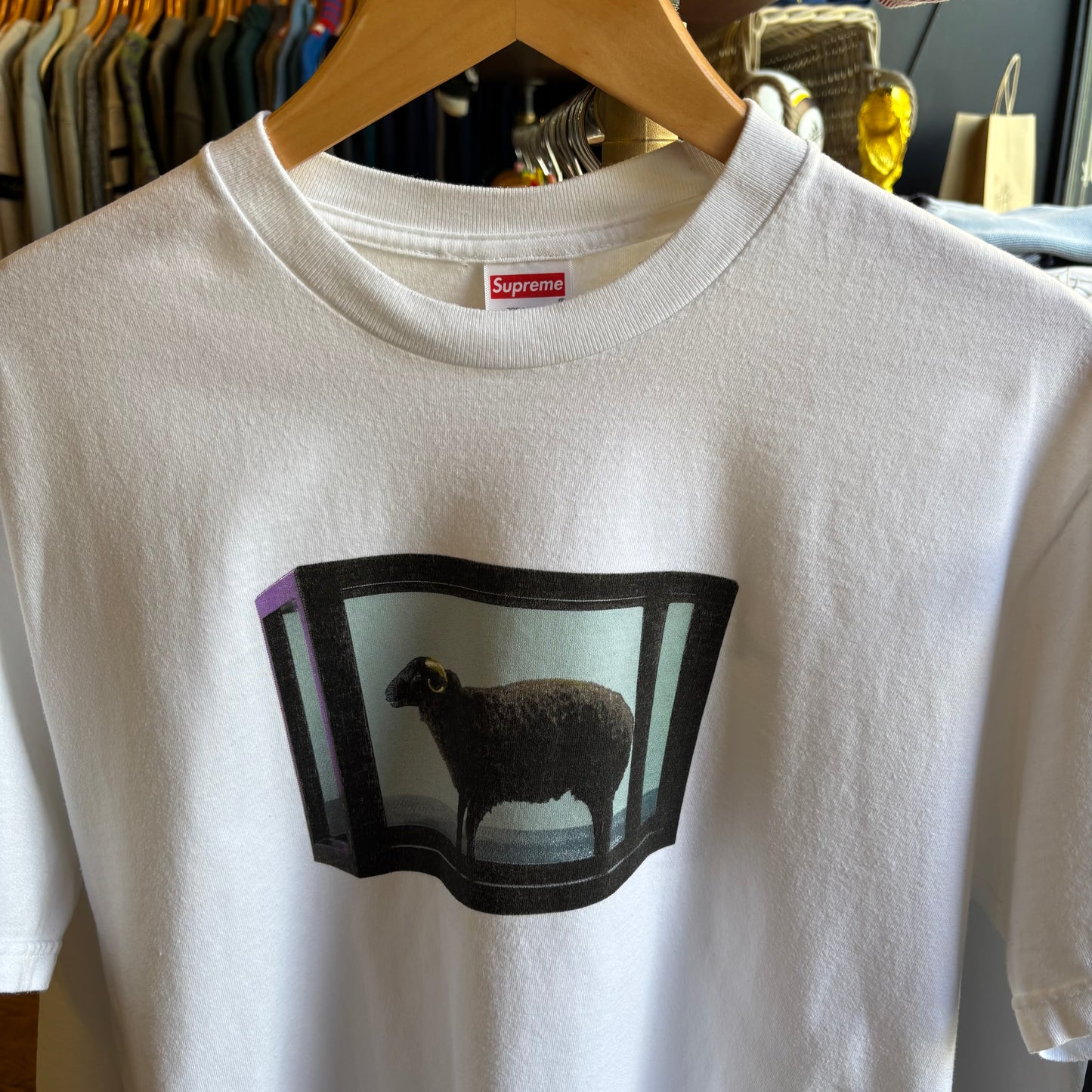 Supreme SS25 Damien Hirst T-Shirt White (Medium)