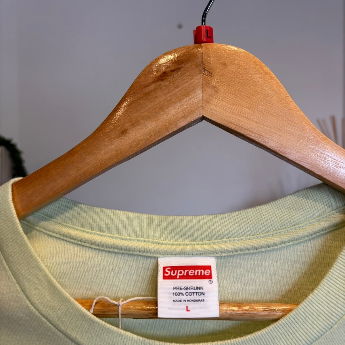 Supreme FW24 Tyler The Creator T-Shirt Pale Mint (Large)